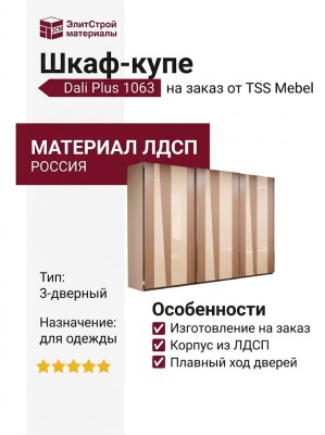 Шкаф-купе Dali Plus 1063
