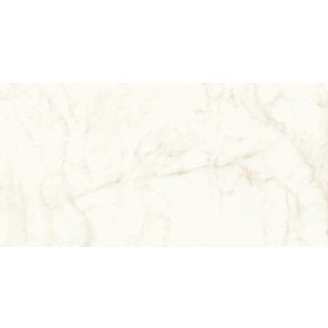 Керамогранит Atlas Concorde (Атлас Конкорд) Marvel Shine Calacatta Delicato Matt 60x120 см, толщ. 9 мм (2 плиты), A4QW