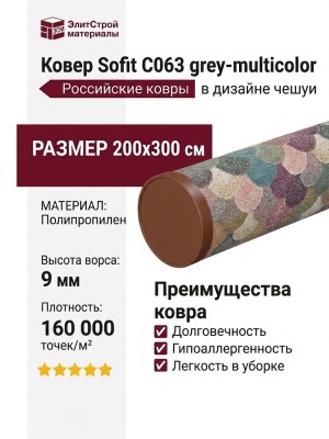 Ковер Sofit C063 grey-multicolor 200x300