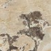 Casa Dolce Casa Onyx More Golden Blend Satin 60x120 765459