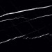 Staro Tech Polished Nero Marquina 80x240 С0004942