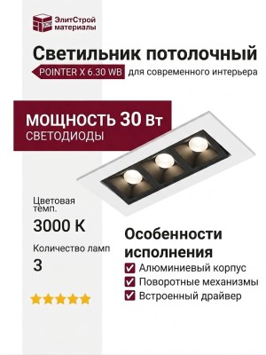 Светильник потолочный POINTER X 6.30 WB