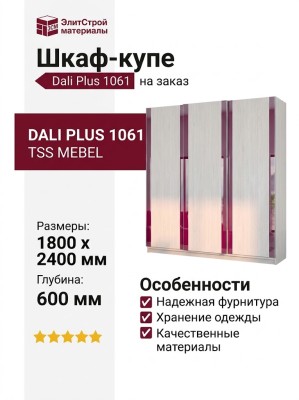 Шкаф-купе Dali Plus 1061