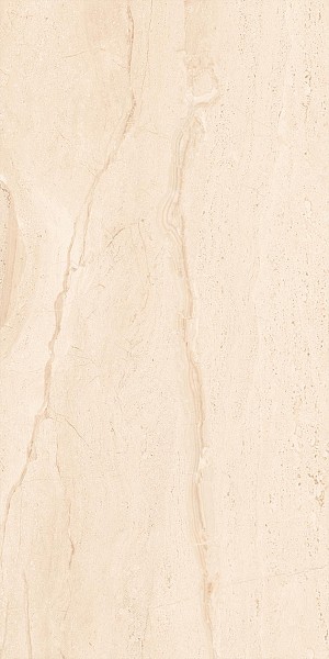Progress DIANA SILVER керамогранит полированный 120x60 см AB 1017G