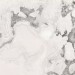 Atlas Concorde Forte Dei Marmi Quark Oyster White Cerato 60x120 610015000698