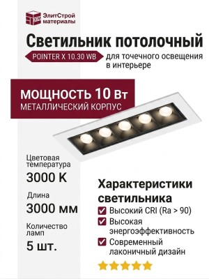 Светильник потолочный POINTER X 10.30 WB