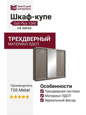 Шкаф-купе Dali Plus 1060