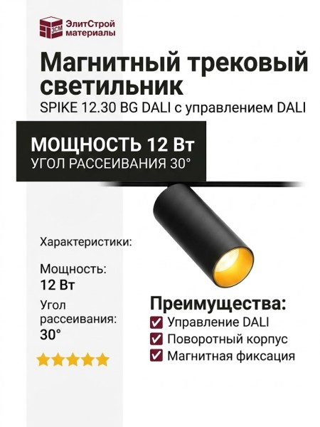 Магнитный трековый светильник SPIKE 12.30 BG DALI
