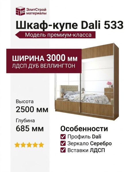 Шкаф-купе Dali 533