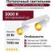 Светильник потолочный SPY 2 11.30 WG DIM
