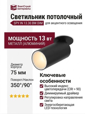 Светильник потолочный SPY IN 13.30 BW DIM