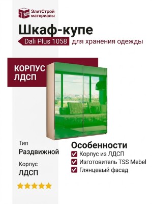 Шкаф-купе Dali Plus 1058