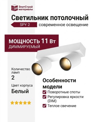 Светильник потолочный SPY 2 11.30 WB DIM