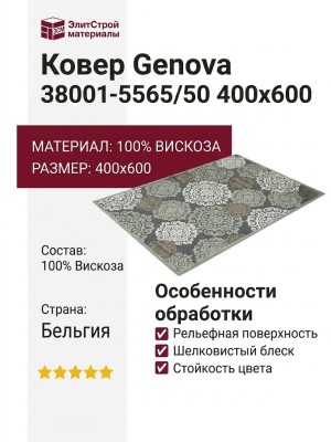 Ковер Genova 38001-5565/50 400x600