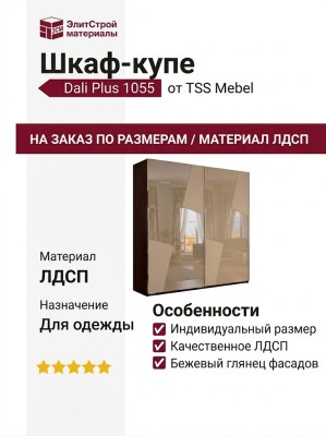 Шкаф-купе Dali Plus 1055