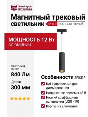 Магнитный трековый светильник SPIKE P 12.30 B DALI