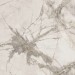 Ariana Epoque White Lap 60x60 PF60004312
