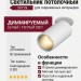 Светильник потолочный SPY IN 13.30 WS DIM