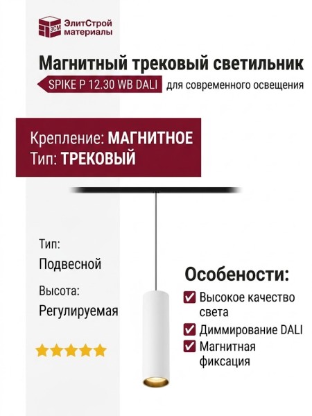 Магнитный трековый светильник SPIKE P 12.30 WB DALI