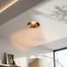 Светильник потолочный INTERA R 11.30 BR DALI