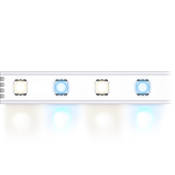 MULTICOLOR 60 DW IP67