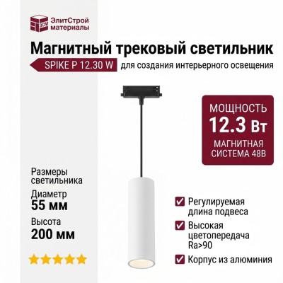 Магнитный трековый светильник SPIKE P 12.30 W