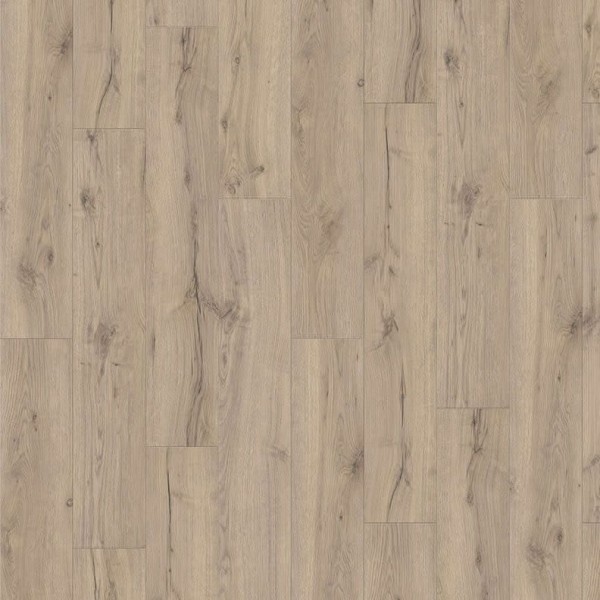Ламинат Haro коллекция Tritty 100 Campus 4V Дуб Альпийский Серый 532064