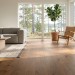 Инженерная доска Living Tree Селект (с) 180х500-2310х13,5/4 Дуб Мокко