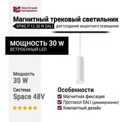 Магнитный трековый светильник SPIKE P 12.30 W DALI