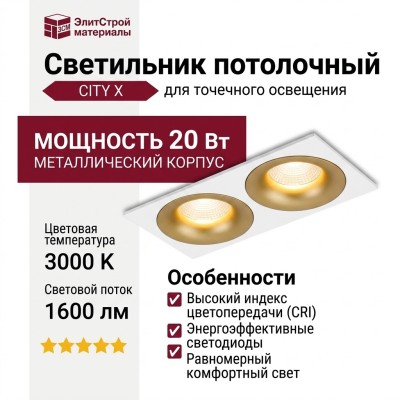 Светильник потолочный CITY X 22.30 G 2FW