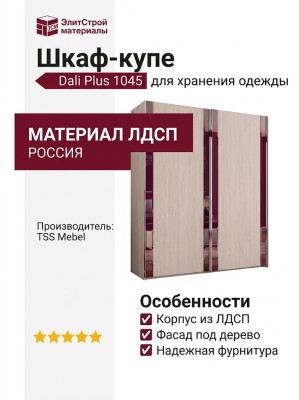 Шкаф-купе Dali Plus 1045