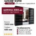Шкаф-купе Dali 524