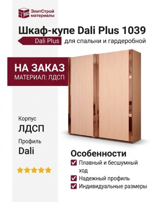 Шкаф-купе Dali Plus 1039