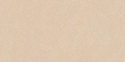 Versace Leatherwood Cuir Beige Nat.3D 60x120 PF60017109