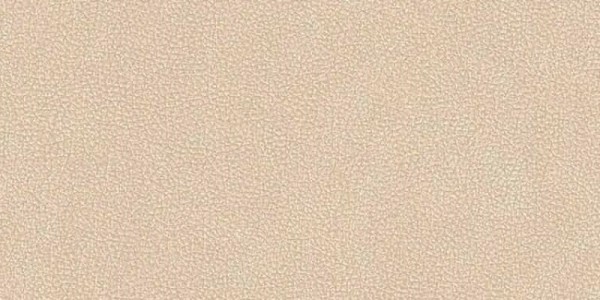 Versace Leatherwood Cuir Beige Nat.3D 60x120 PF60017109