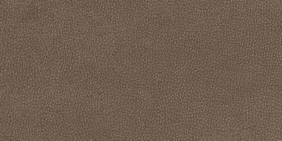 Versace Leatherwood Cuir Chocolate Nat.3D 60x120 PF60017110