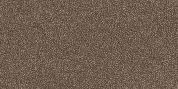 Versace Leatherwood Cuir Chocolate Nat.3D 60x120 PF60017110