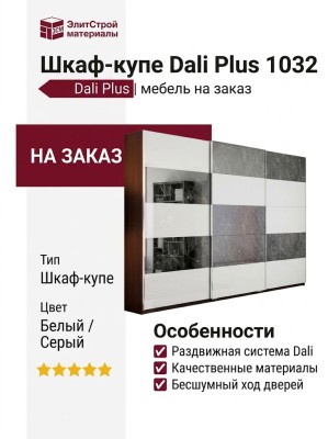 Шкаф-купе Dali Plus 1032