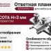 Ответная планка Н3 с евровинтом, крестообразная B2VGH39/17