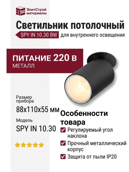 Светильник потолочный SPY IN 10.30 BW