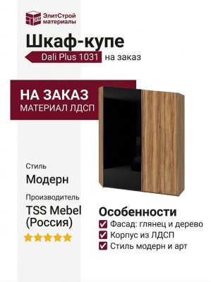 Шкаф-купе Dali Plus 1031