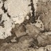 Rex Ceramiche Heritage Luxe Flame Glossy 120x280 774704
