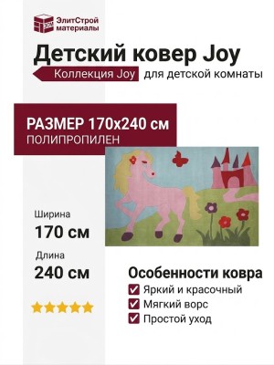 Ковер Joy 10-9924 170x240