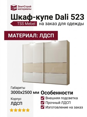 Шкаф-купе Dali 523