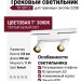 Трековый светильник 220 вольт TR SPY 2 11.30 WB