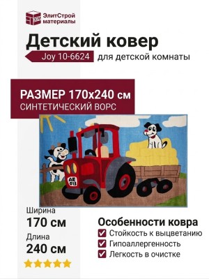Ковер Joy 10-6624 170x240