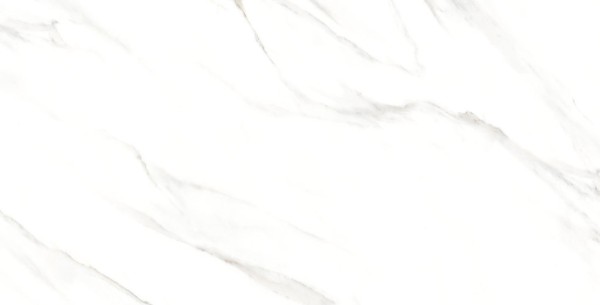 One Touch Spider White