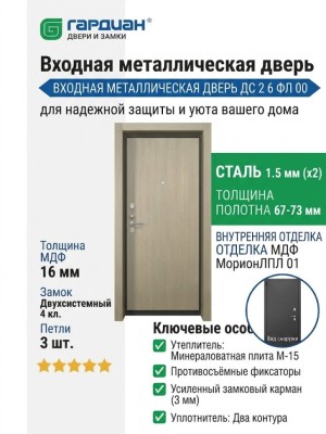 Входная металлическая дверь ДС 2  6 ФЛ 00