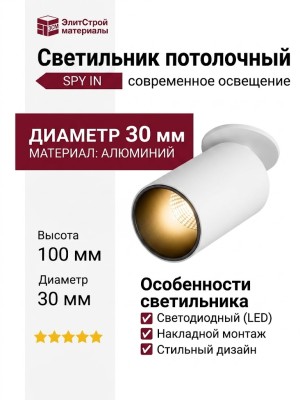 Светильник потолочный SPY IN 10.30 WB
