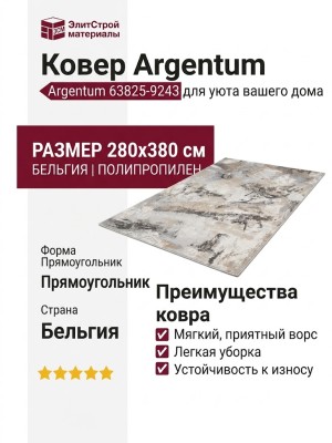 Ковер Argentum 63825-9243 280x380